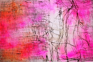 Torn mesh
